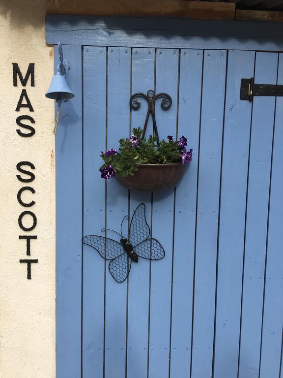 Mas Scott Apartment Serralongue ภายนอก รูปภาพ